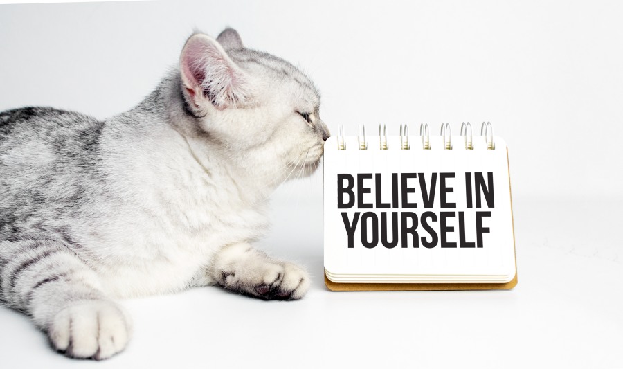 Always Believe in Yourself Self Confidence Grey Cat