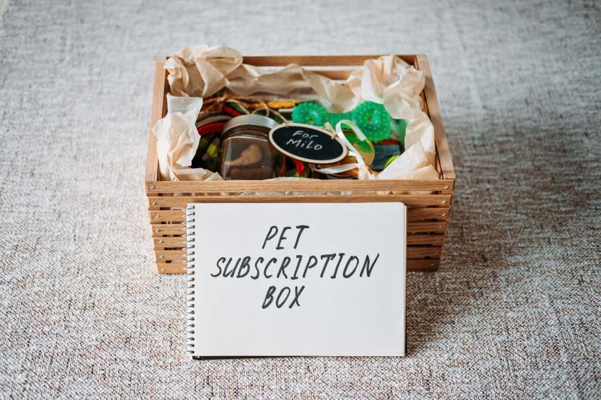 Pet Subscription Box Sample Company Business Example Pets Dogs Cats Treats