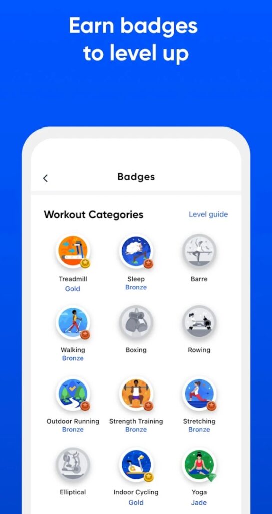 Earn Badges Sample Fitness Program Online Mobile App Gamification