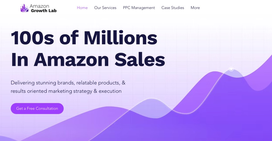 Amazon Growth Lab Digital Marketing Company