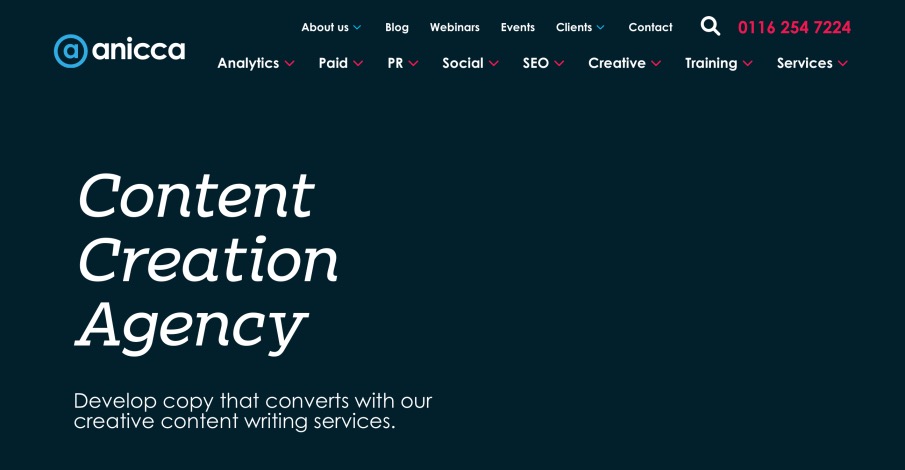 Anicca Best Content Creation Services Agency