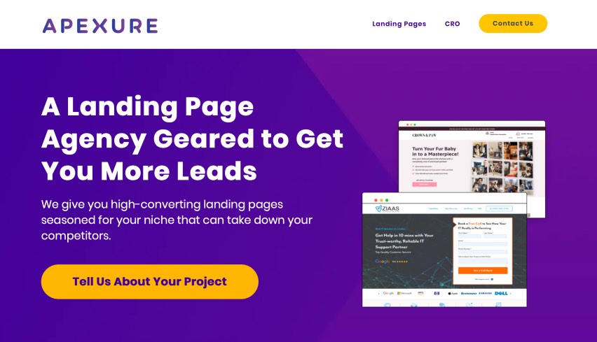 Apexure Best Landing Page Services