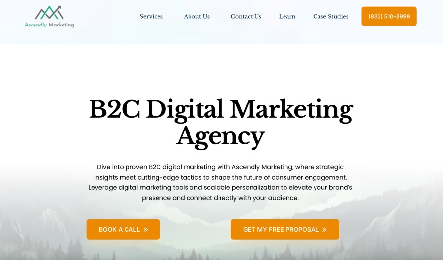 Ascendly Best Digital Marketing Agency for B2C Companies