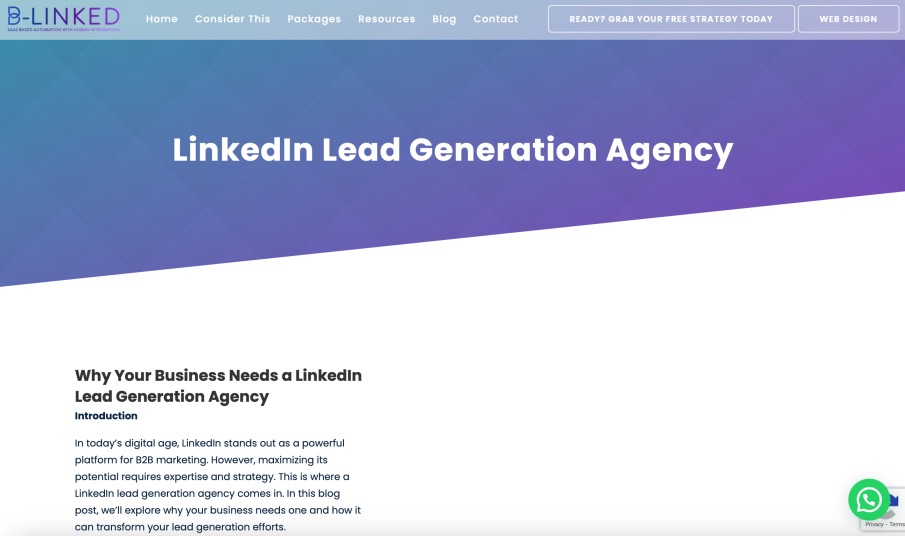 B-Linked Best LinkedIn Lead Generation Firm