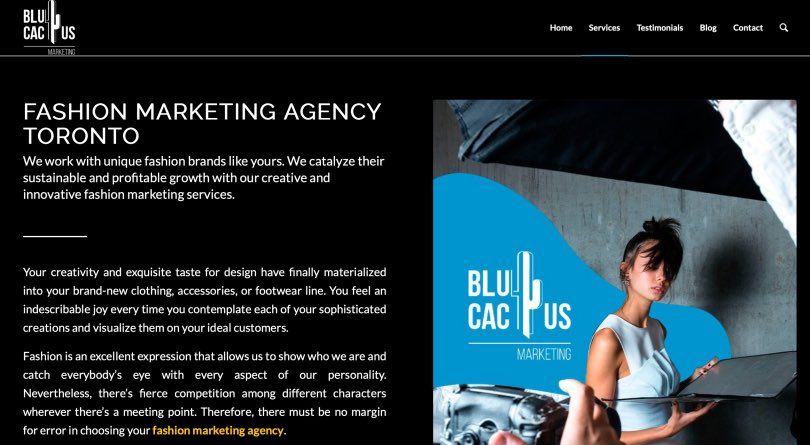 BluCactus Best Fashion Branding Agency