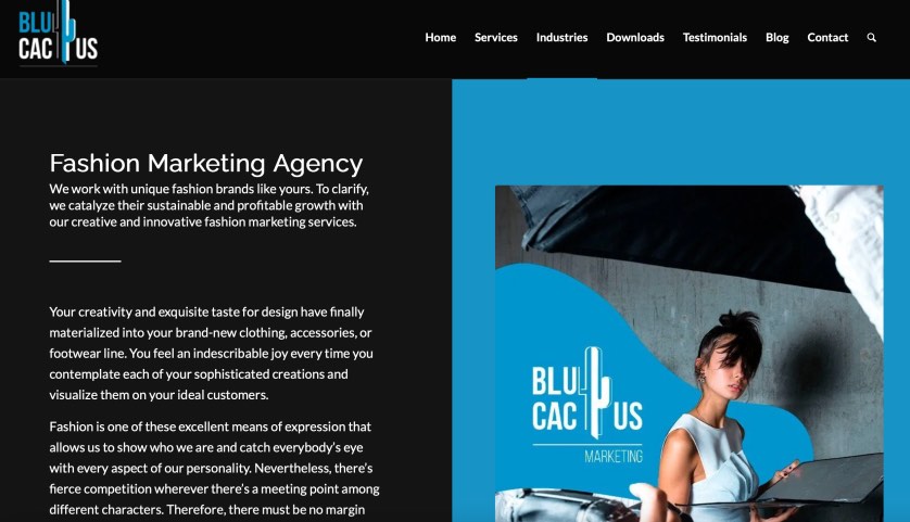 Blucactus Luxury Fashion Marketing Agency