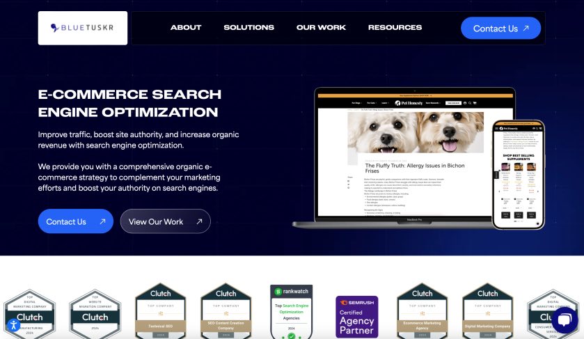 BlueTuskr Healthcare eCommerce SEO Agency