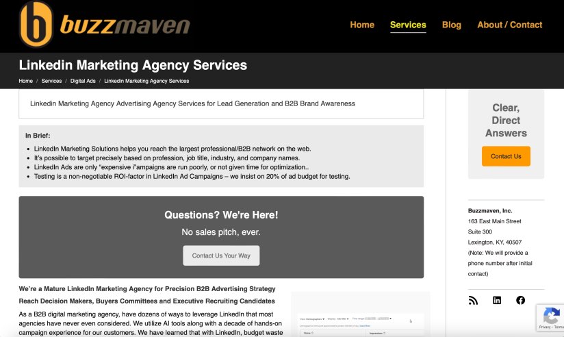 BuzzMaven B2B LinkedIn Marketing Agency Services