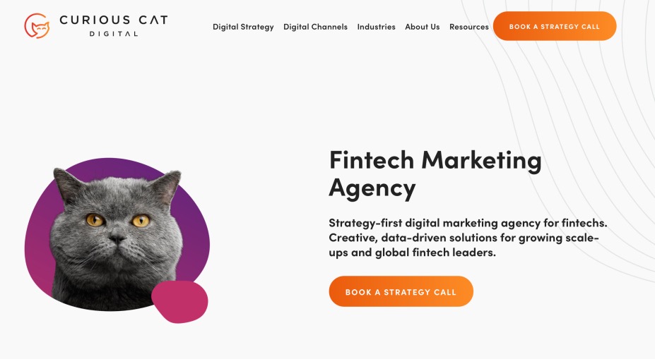 Curious Cat Digital Best FinTech Marketing Agency