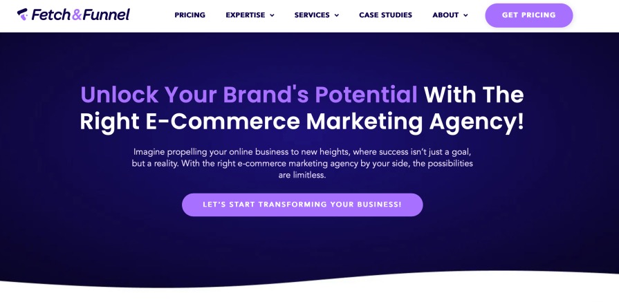 Fetch & Funnel Best eCommerce Marketing Agency