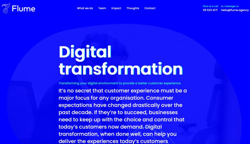 Flume Best Digital Transformation Agency