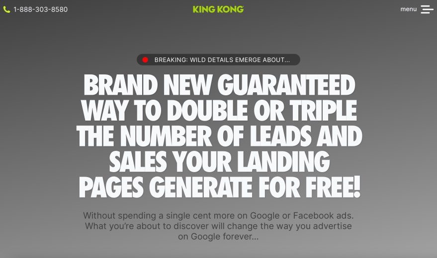 King Kong Best Landing Page Agency