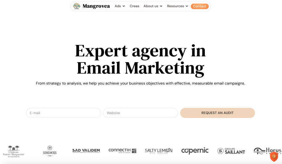 Mangrovea Best Email Marketing Company