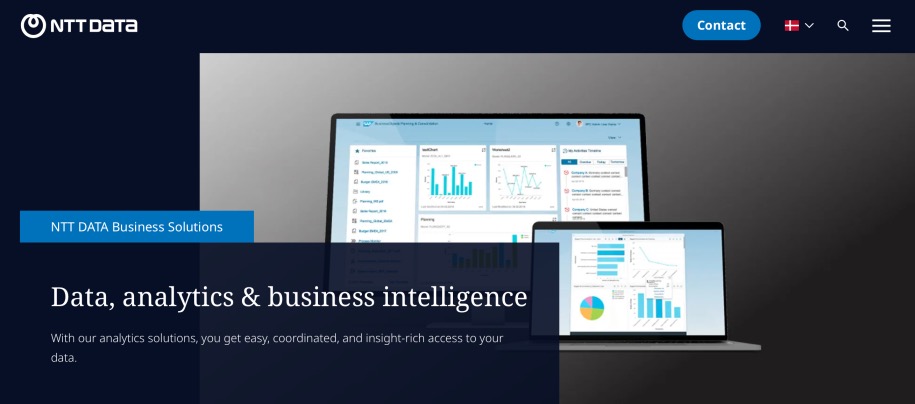 NTT Data Analysis Business Intelligence Firm