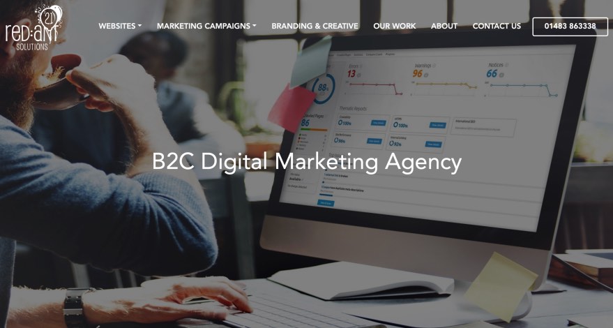 Red Ant Solutions Best B2C Digital Marketing Agency