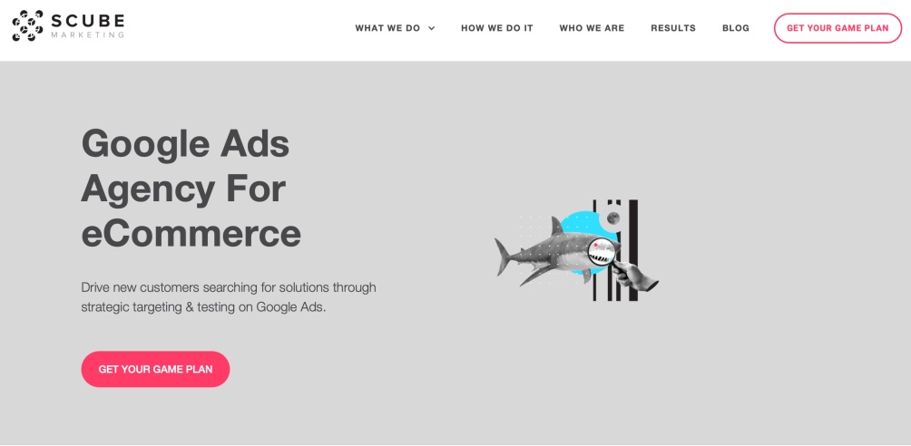 Scube Marketing eCommerce Google Ads Agency