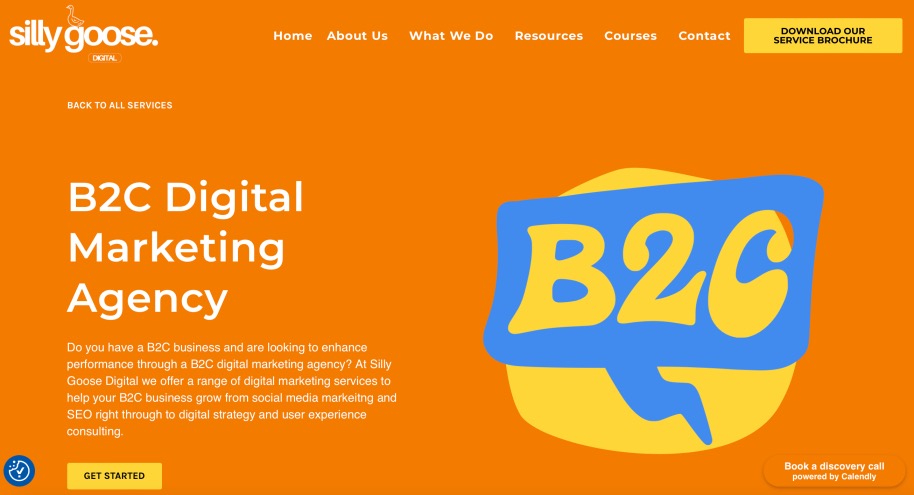 Silly Goose Digital B2C Marketing Services