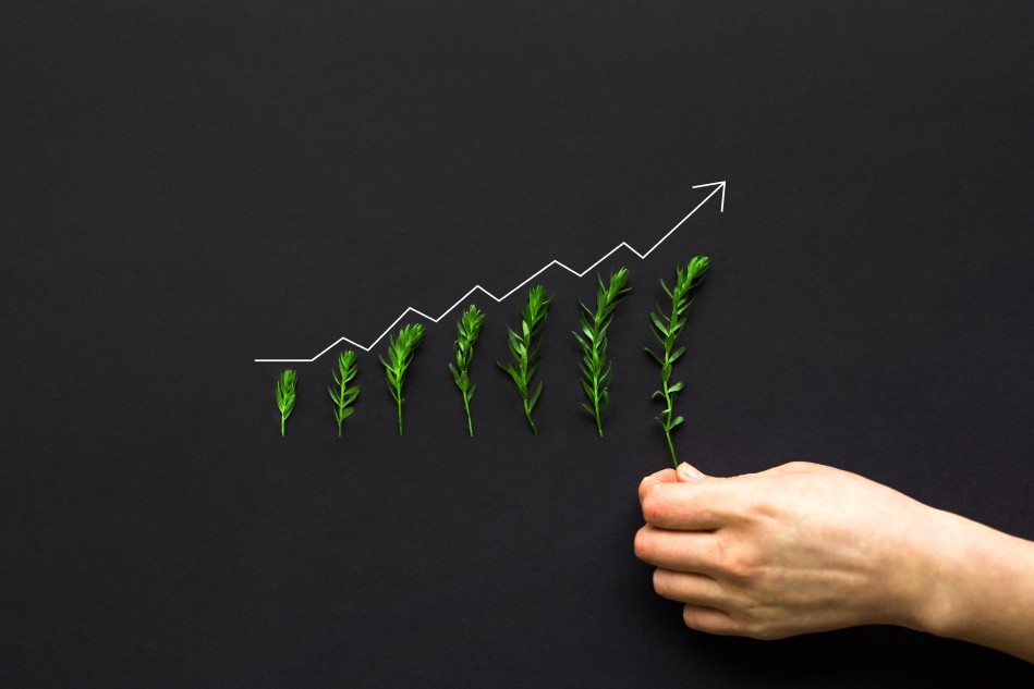 Sustainable Business Growth Concept Hand Plants Curve Graph