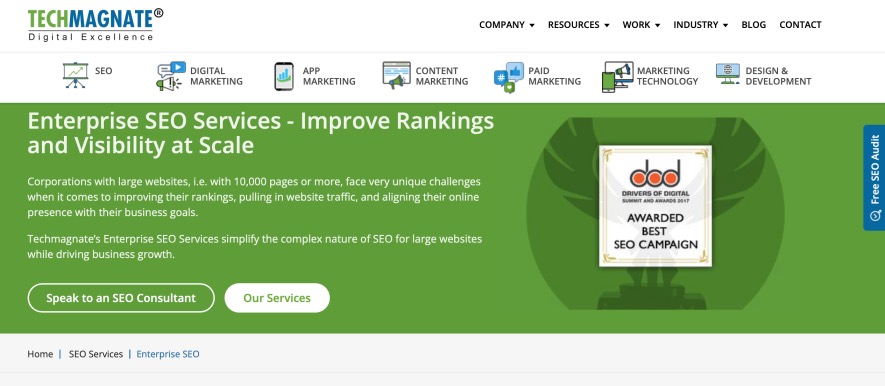 Techmagnate Enterprise SEO Firms