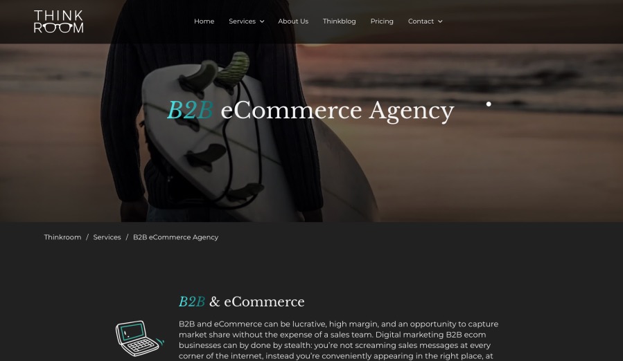 Think Room Best B2B eCommerce Companies