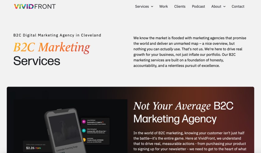 VividFont Best B2C Marketing Services Agency