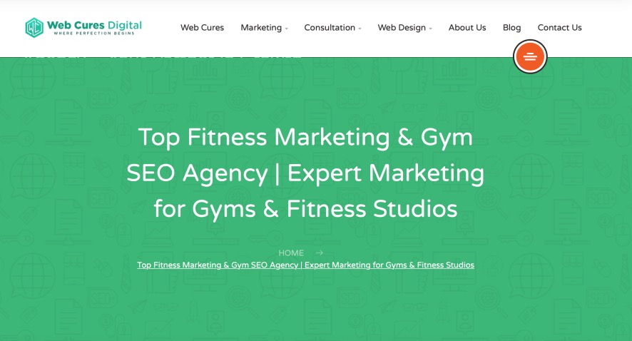 Web Cures Digital Gym Marketing Agencies