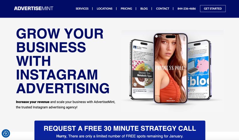 AdvertiseMint Best Instagram Advertising Services Agency