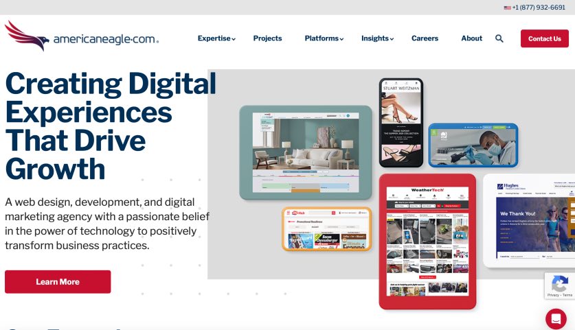 American Eagle Best Web Development Agency