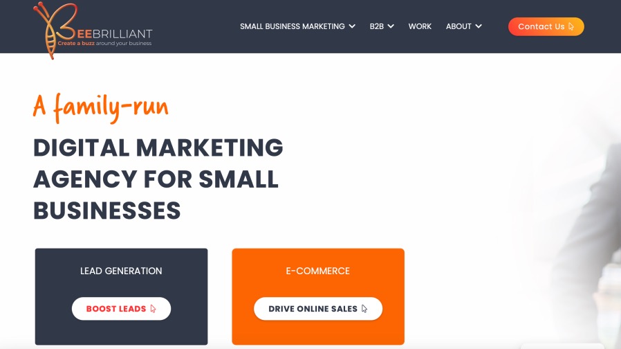 BeeBrilliant Best Small Business Digital Marketing Company