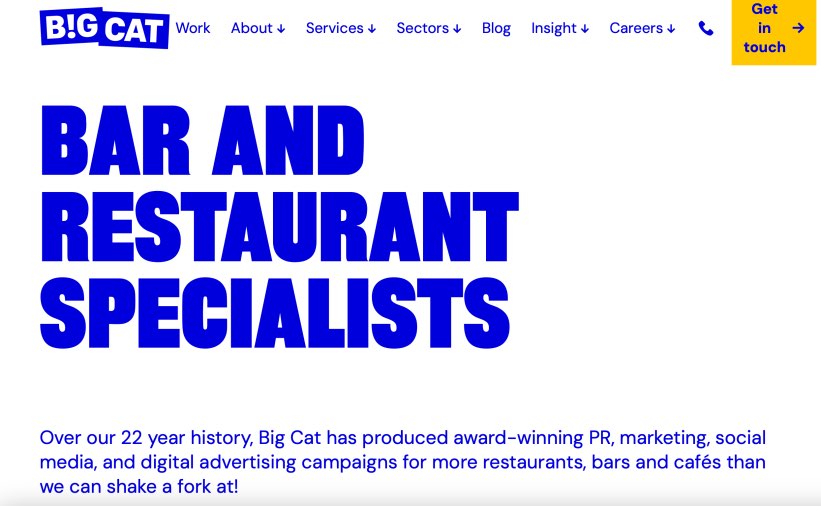 Big Cat Bar and Restaurant Marketing Experts