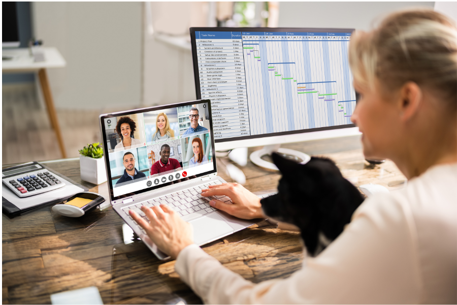 Businesswoman in virtual meeting on her laptop