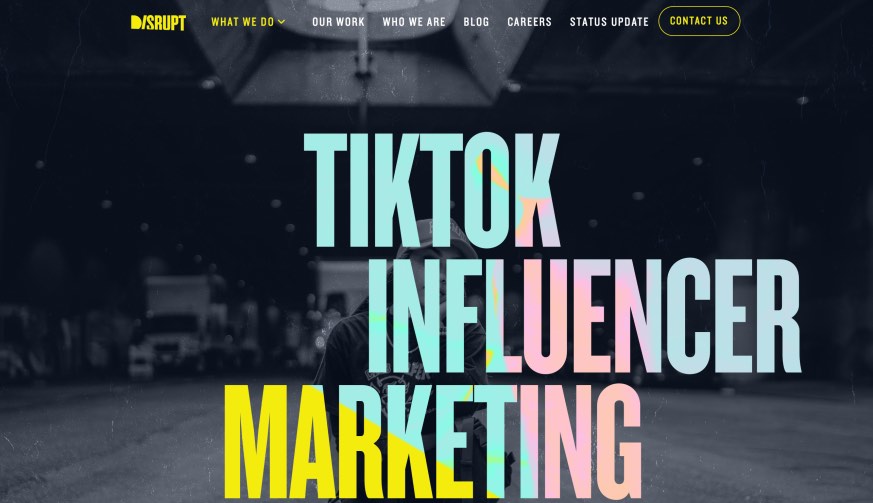 Disrupt TikTok Influencer Marketing Services