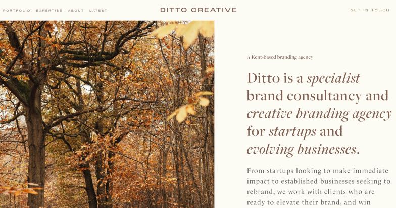 Ditto Creative Best Small Business Branding Agencies