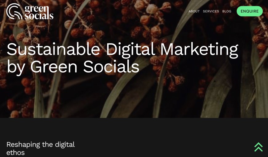 Green Socials Best Sustainability Digital Marketing Agencies