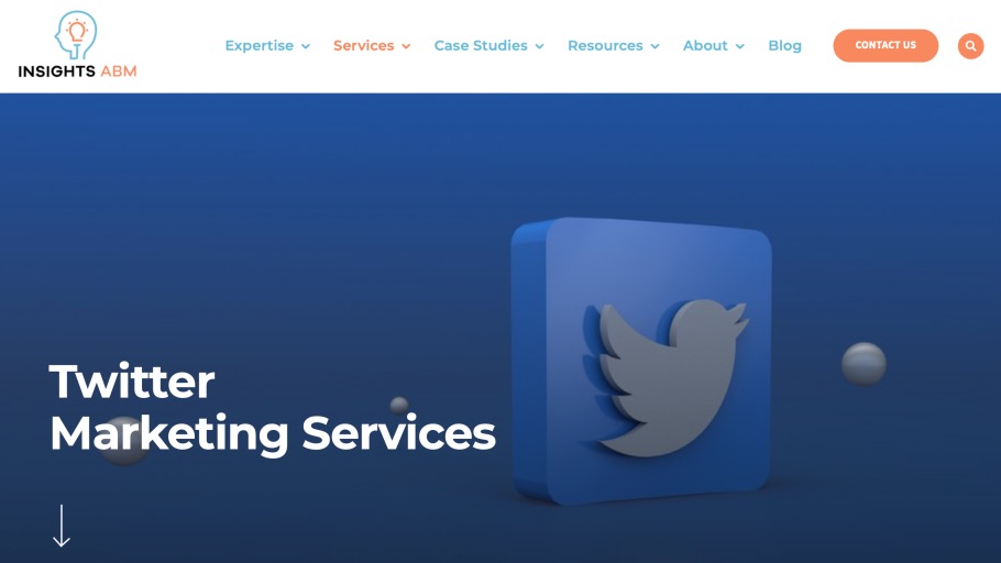 Insights ABM Best Twitter Advertising Agency