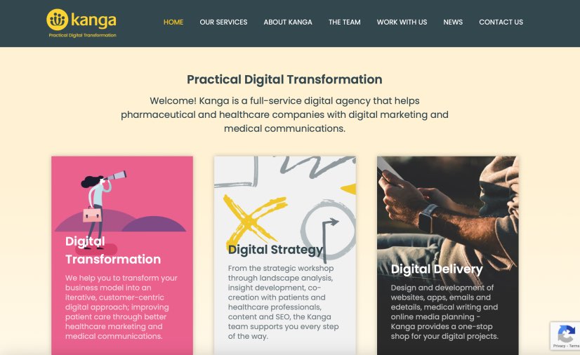 Kanga Health Best Pharmaceutical Branding Services