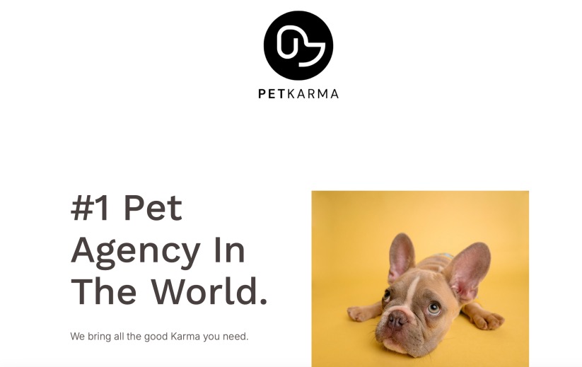 Pet Karma Media Best Marketing Agencies for Pets Stores