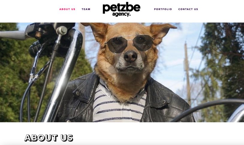 Petzbe Full-Service Pet Marketing Company