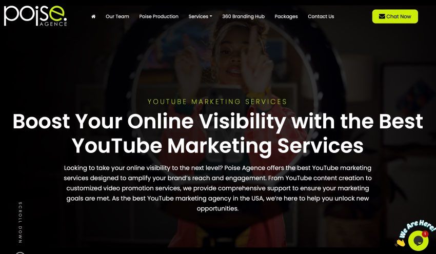 Poise Top YouTube Marketing Services