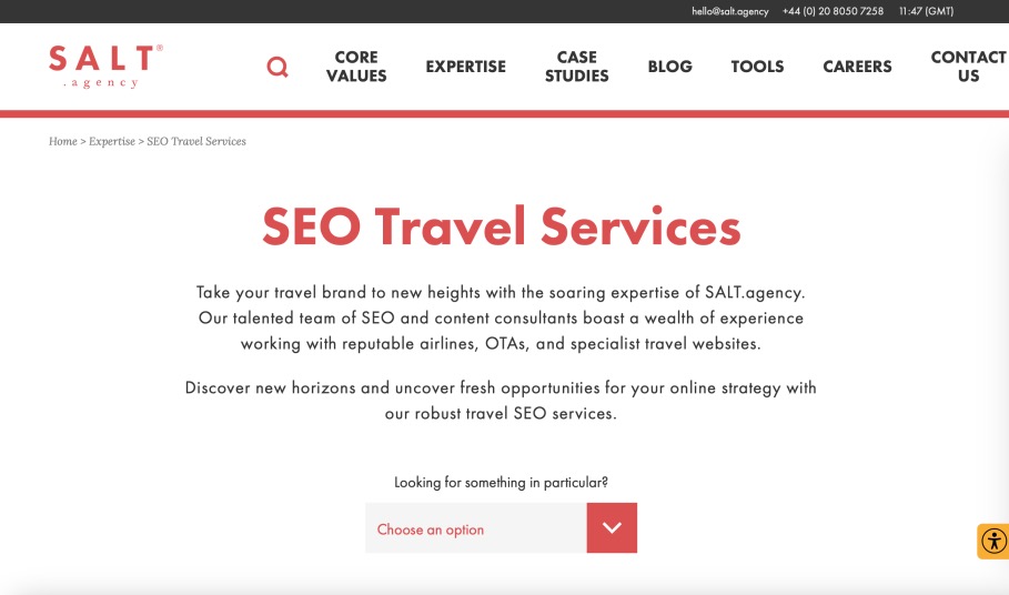 Salt Best Travel Search Engine Optimization Agency