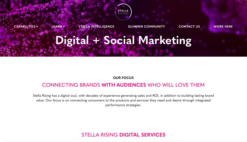 Stella Rising Social Media Management Companies