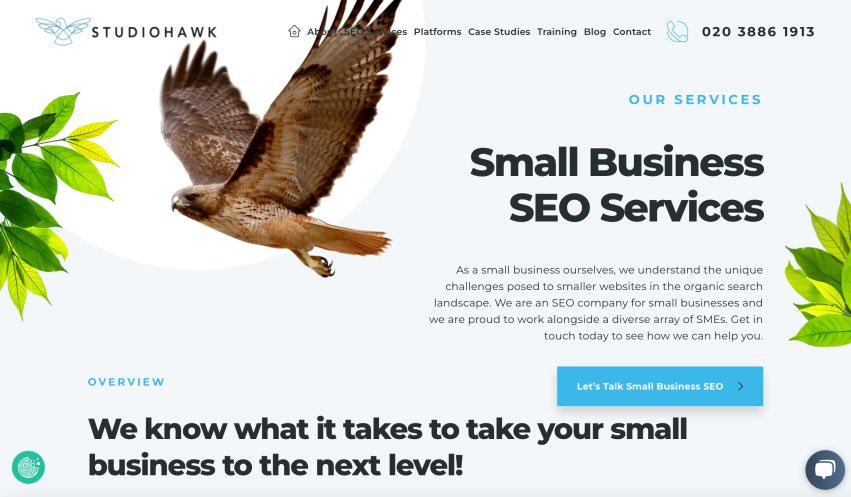 StudioHawk Best Small Business SEO Firm