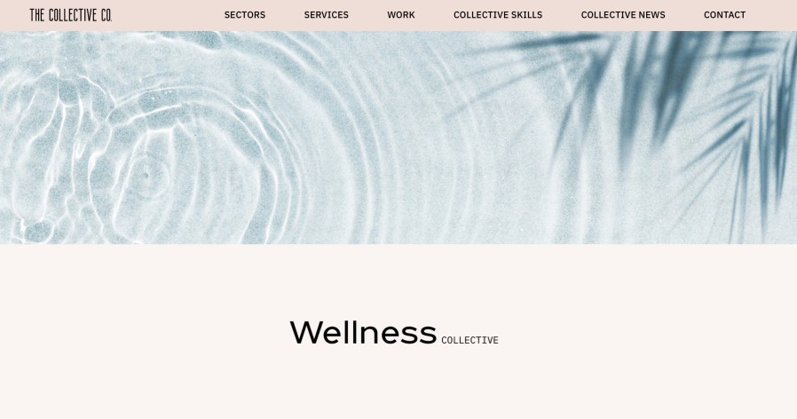 The Collective Co Health and Wellness Marketing Agencies