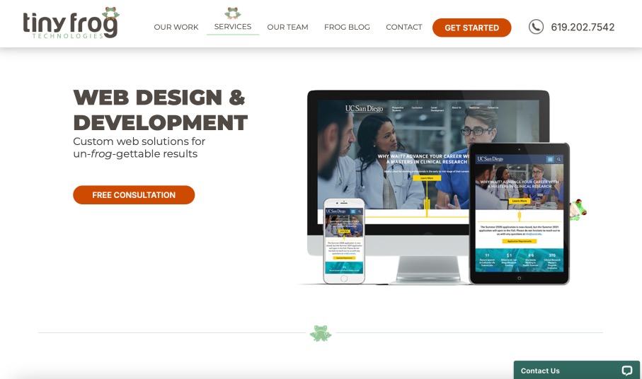 Tiny Frog Technologies Leading Web Design Company