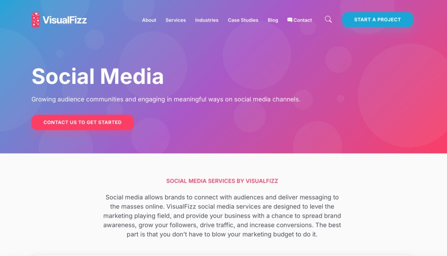 VisualFizz Organic and Paid Social Media Marketing Agency