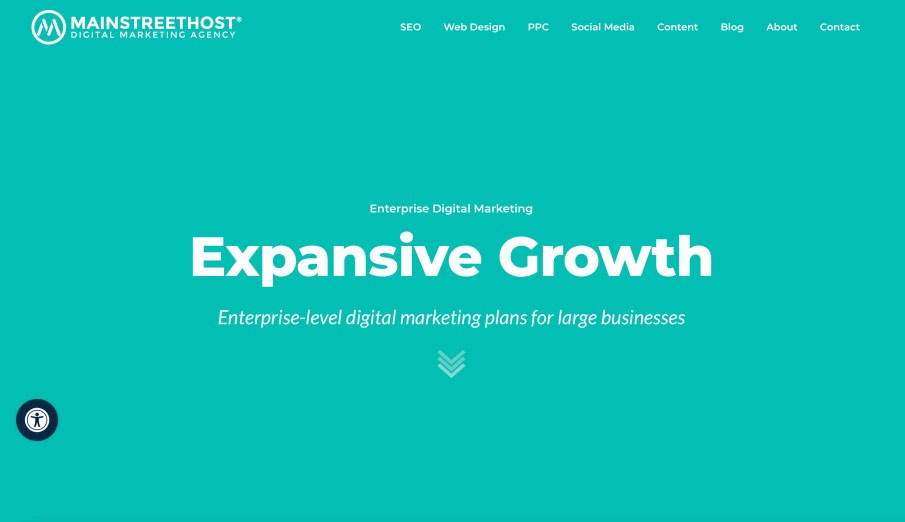 Mainstreethost Best Enterprise Digital Marketing Agencies