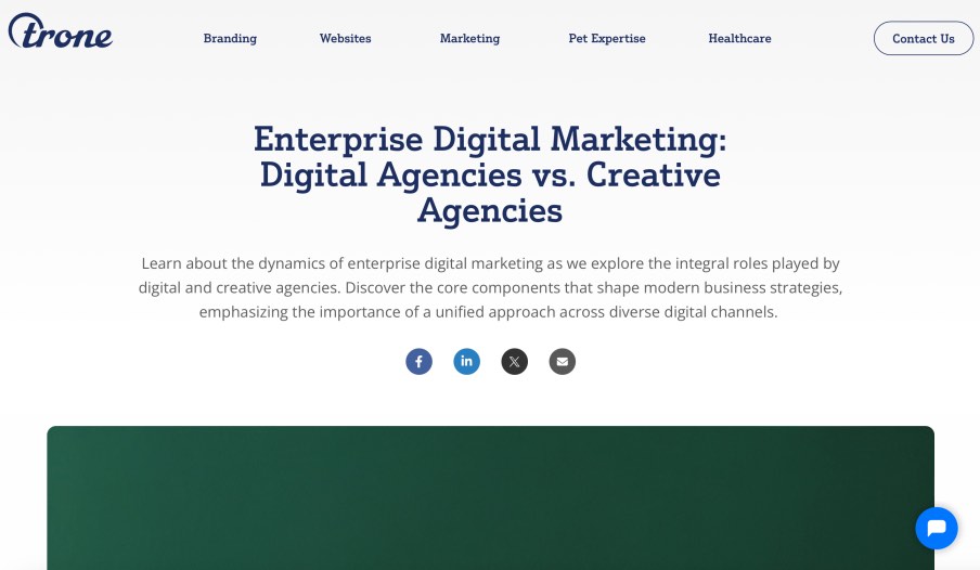 Trone Best Enterprise Digital Marketing Agency